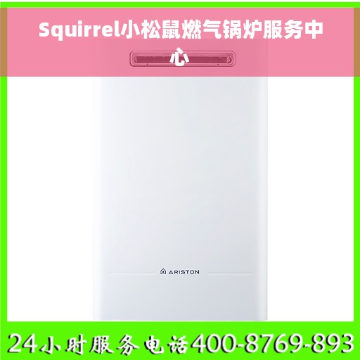 Squirrel小松鼠燃气锅炉服务中心