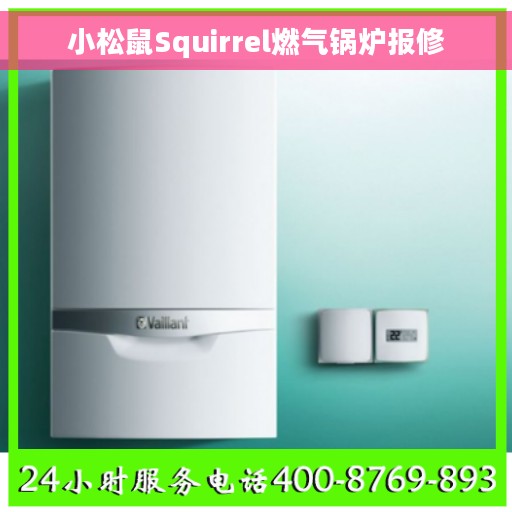 小松鼠Squirrel燃气锅炉报修