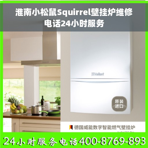 淮南小松鼠Squirrel壁挂炉维修电话24小时服务
