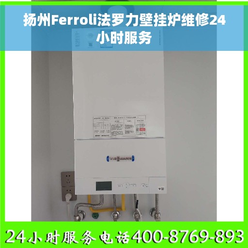扬州Ferroli法罗力壁挂炉维修24小时服务