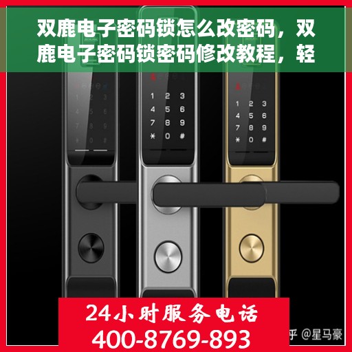 双鹿电子密码锁怎么改密码，双鹿电子密码锁密码修改教程，轻松设置新密码