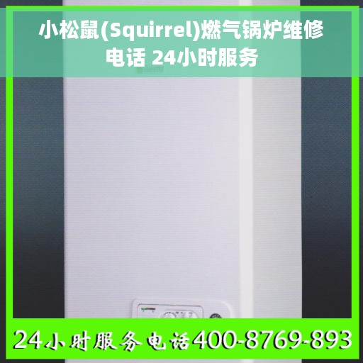 小松鼠(Squirrel)燃气锅炉维修电话 24小时服务