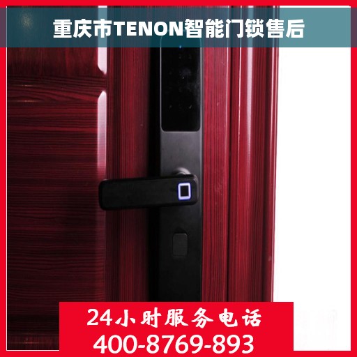 重庆市TENON智能门锁售后