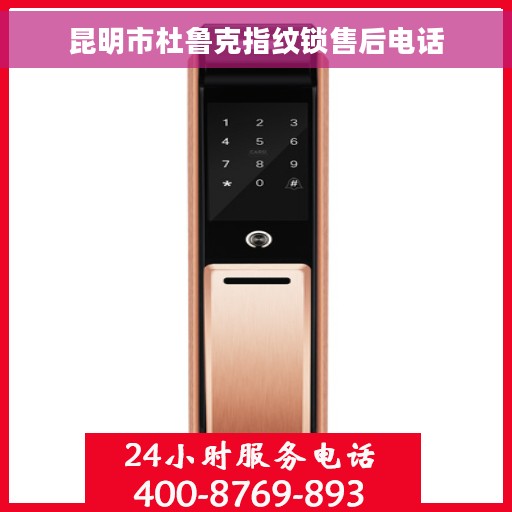 昆明市杜鲁克指纹锁售后电话