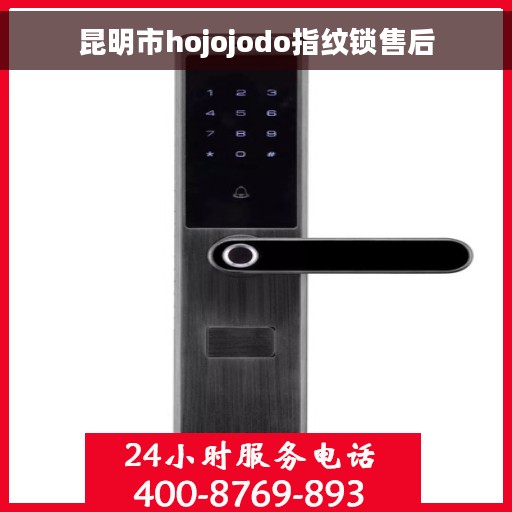 昆明市hojojodo指纹锁售后