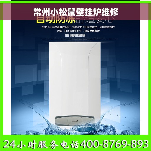 常州小松鼠壁挂炉维修
