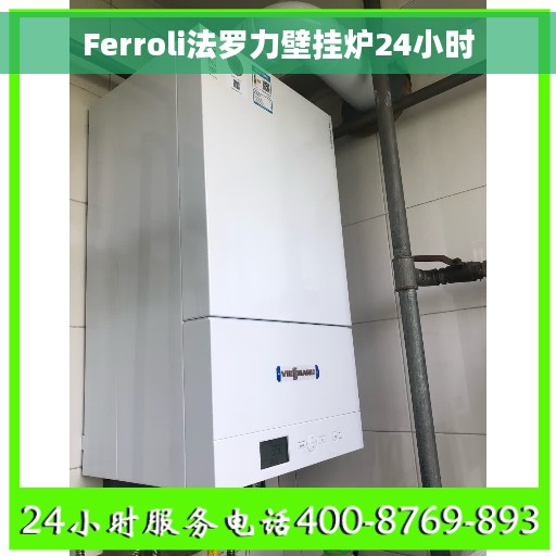 Ferroli法罗力壁挂炉24小时
