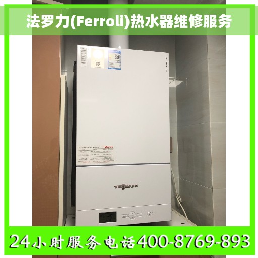 法罗力(Ferroli)热水器维修服务