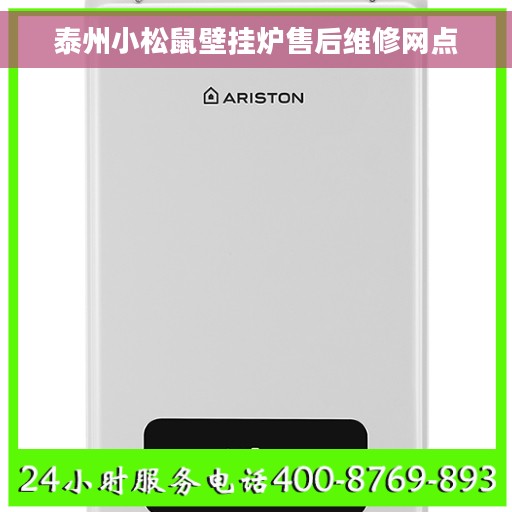 泰州小松鼠壁挂炉售后维修网点