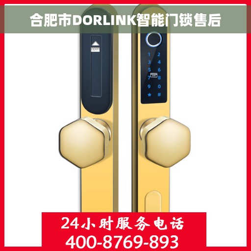 合肥市DORLINK智能门锁售后