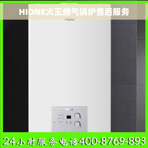 HIONE火王燃气锅炉售后服务