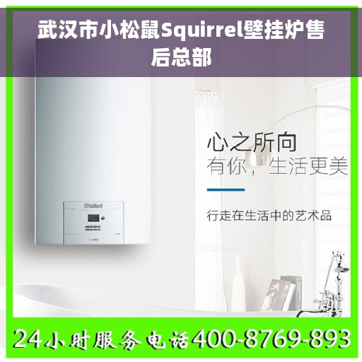 武汉市小松鼠Squirrel壁挂炉售后总部