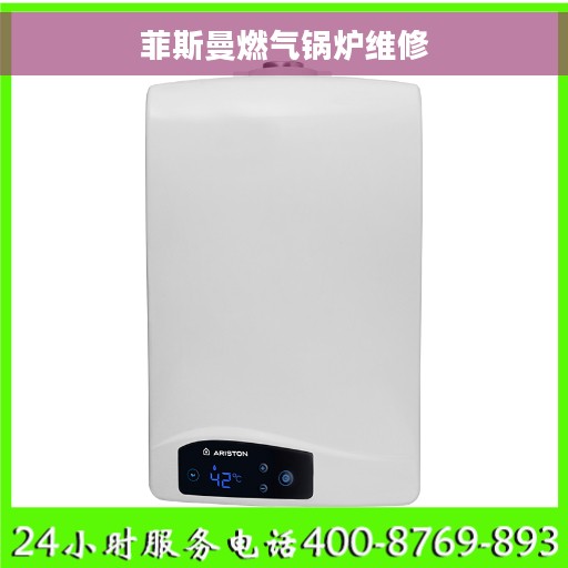 菲斯曼燃气锅炉维修