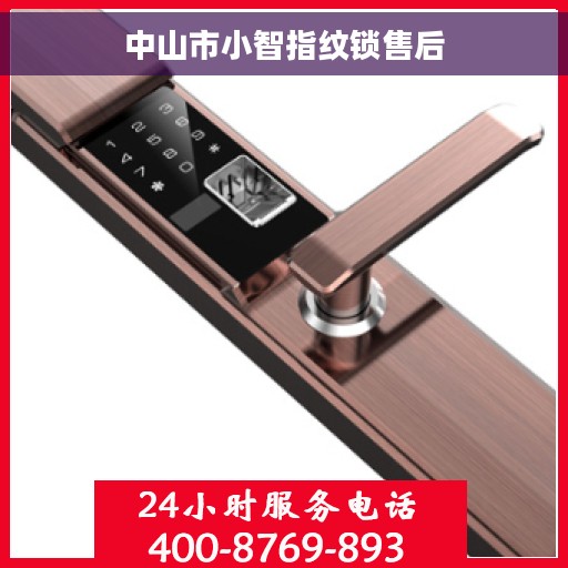 中山市小智指纹锁售后