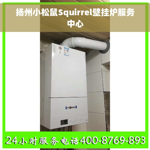 扬州小松鼠Squirrel壁挂炉服务中心