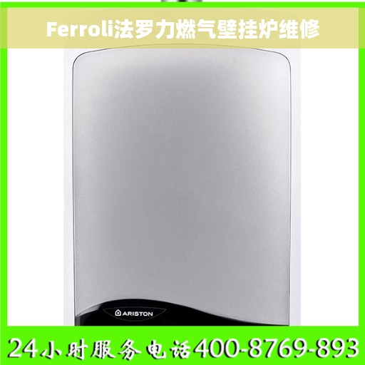 Ferroli法罗力燃气壁挂炉维修