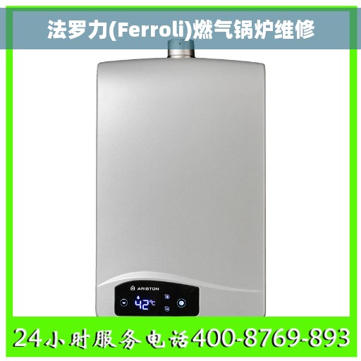 法罗力(Ferroli)燃气锅炉维修