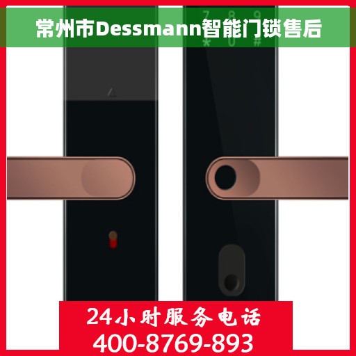常州市Dessmann智能门锁售后