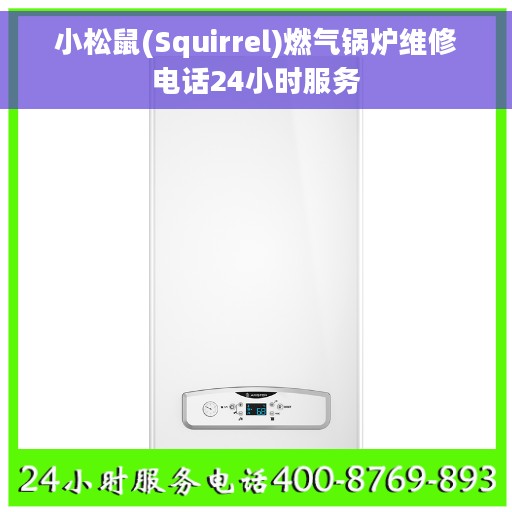 小松鼠(Squirrel)燃气锅炉维修电话24小时服务