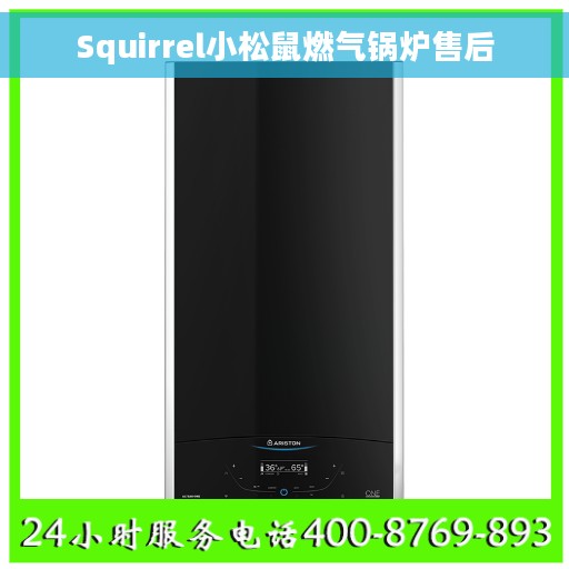 Squirrel小松鼠燃气锅炉售后