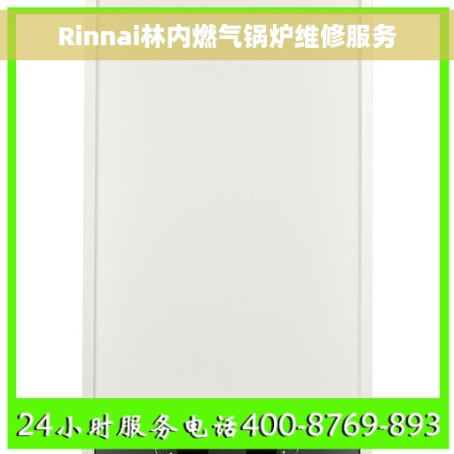 Rinnai林内燃气锅炉维修服务
