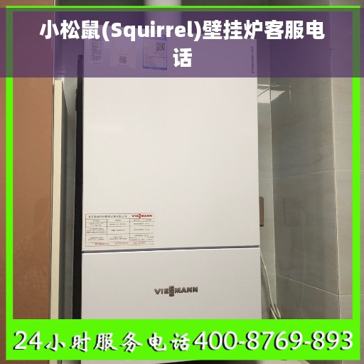 小松鼠(Squirrel)壁挂炉客服电话