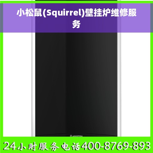 小松鼠(Squirrel)壁挂炉维修服务