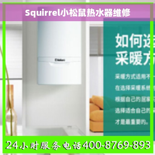 Squirrel小松鼠热水器维修