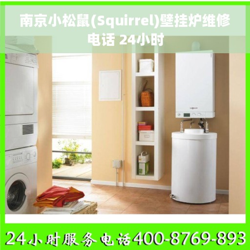 南京小松鼠(Squirrel)壁挂炉维修电话 24小时