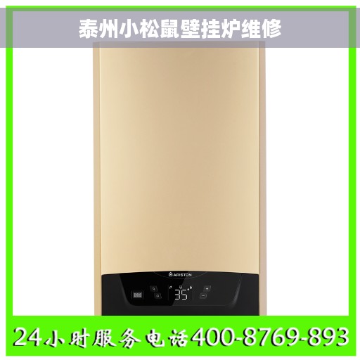 泰州小松鼠壁挂炉维修