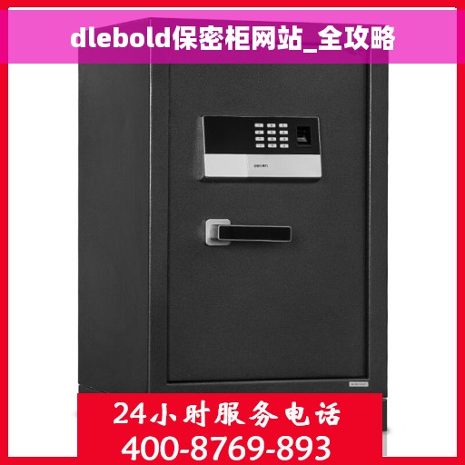 dlebold保密柜网站_全攻略