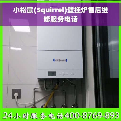 小松鼠(Squirrel)壁挂炉售后维修服务电话