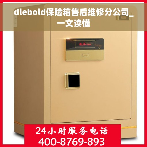 dlebold保险箱售后维修分公司_一文读懂