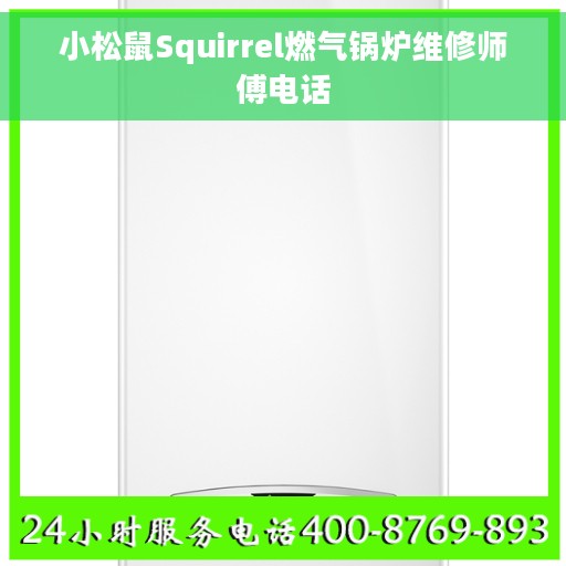 小松鼠Squirrel燃气锅炉维修师傅电话