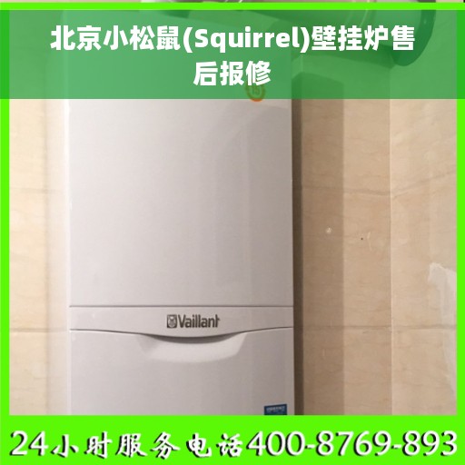 北京小松鼠(Squirrel)壁挂炉售后报修