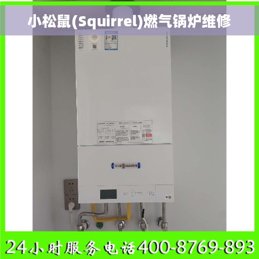 小松鼠(Squirrel)燃气锅炉维修