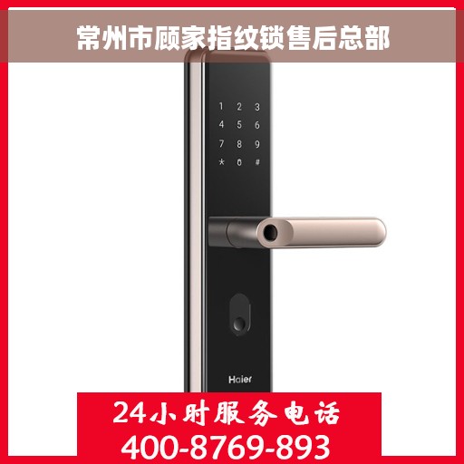 常州市顾家指纹锁售后总部