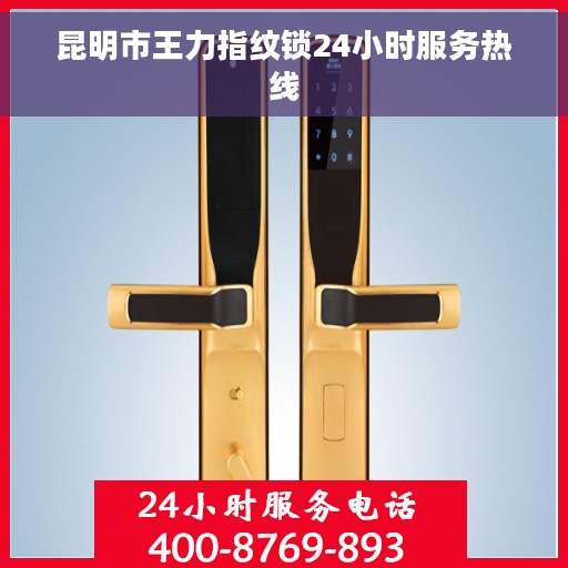 昆明市王力指纹锁24小时服务热线