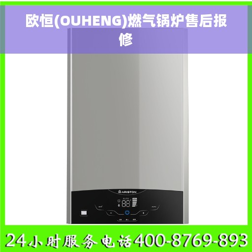 欧恒(OUHENG)燃气锅炉售后报修