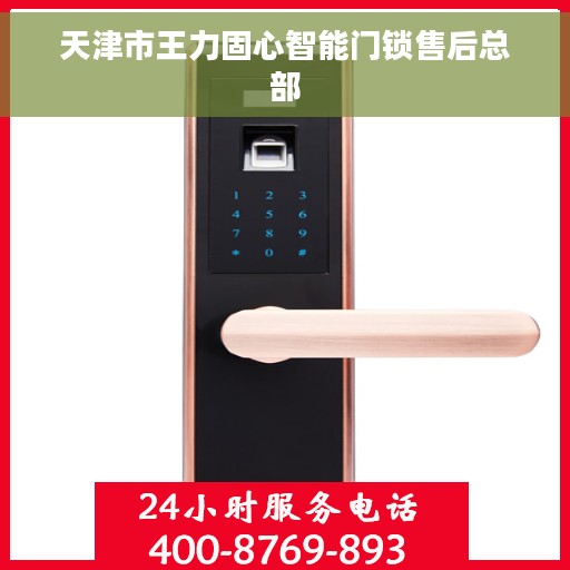天津市王力固心智能门锁售后总部