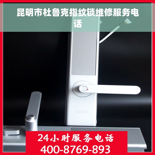 昆明市杜鲁克指纹锁维修服务电话