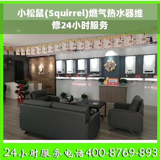 小松鼠(Squirrel)燃气热水器维修24小时服务