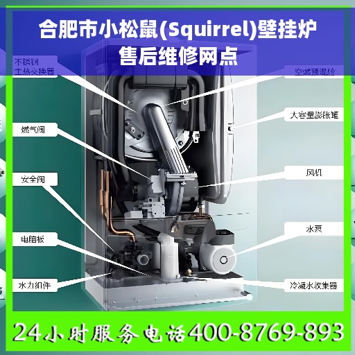 合肥市小松鼠(Squirrel)壁挂炉售后维修网点