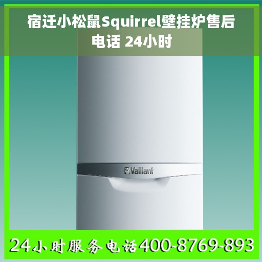 宿迁小松鼠Squirrel壁挂炉售后电话 24小时
