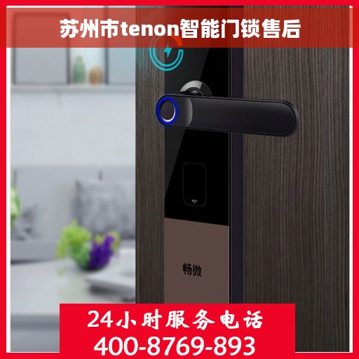苏州市tenon智能门锁售后