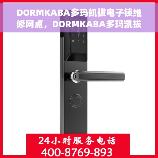 DORMKABA多玛凯拔电子锁维修网点，DORMKABA多玛凯拔电子锁维修服务网点全解析