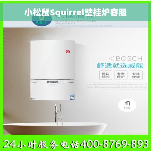 小松鼠Squirrel壁挂炉客服