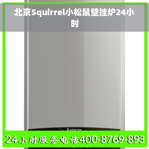 北京Squirrel小松鼠壁挂炉24小时