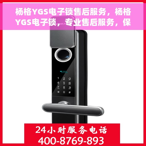 杨格YGS电子锁售后服务，杨格YGS电子锁，专业售后服务，保障您的安全之选