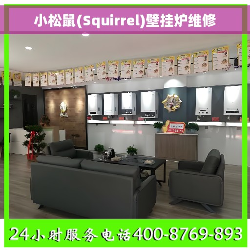 小松鼠(Squirrel)壁挂炉维修